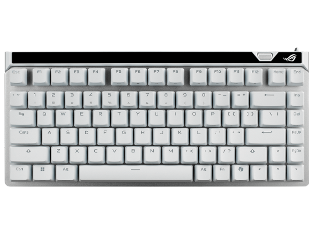 0241688_0.png